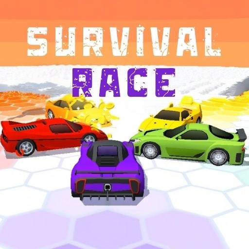Survival Race Cover